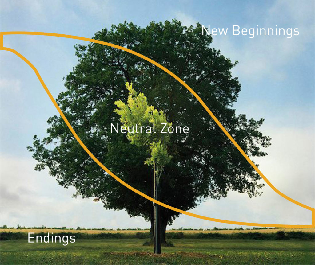 image of transition model superimposed over a tree in a field - Endings - Neutral Zone - New Beginnings